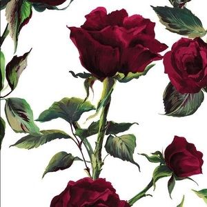 Meet your Posher, Mya